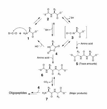 Carbonyl sulfide The Scripps Research Institute Scientfic Report 2006