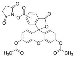 Carboxyfluorescein succinimidyl ester 56Carboxyfluorescein diacetate Nsuccinimidyl ester BioReagent
