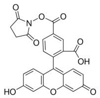 Carboxyfluorescein succinimidyl ester 5Carboxyfluorescein Nsuccinimidyl ester BioReagent suitable for