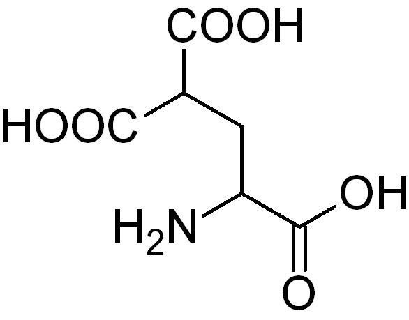 Carboxyglutamic acid httpsuploadwikimediaorgwikipediacommons88