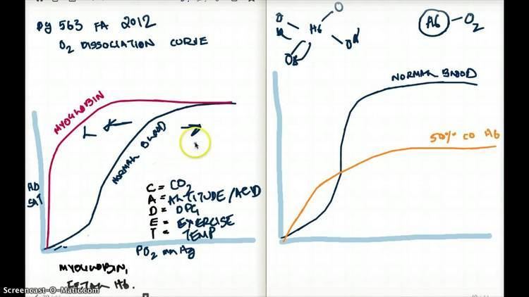 Carboxyhemoglobin 563 FA 12 OXYGEN DISSOCIATION CURVE AND CARBOXYHEMOGLOBIN YouTube