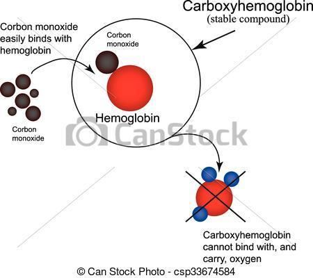 Carboxyhemoglobin Vector of Carboxyhemoglobin Joining the hemoglobin carbon monoxide