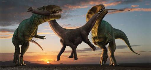 Carcharodontosauridae dinosaurianageweeblycomuploads23662366027