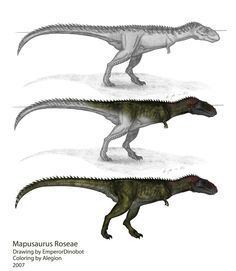 Carcharodontosauridae carcharodontosauridae httpscientificillustrationtumblrcompost