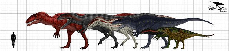 Carcharodontosauridae carcharodontosauridae DeviantArt