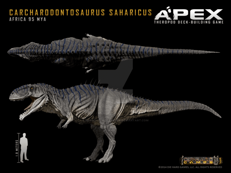 Carcharodontosaurus carcharodontosaurus DeviantArt