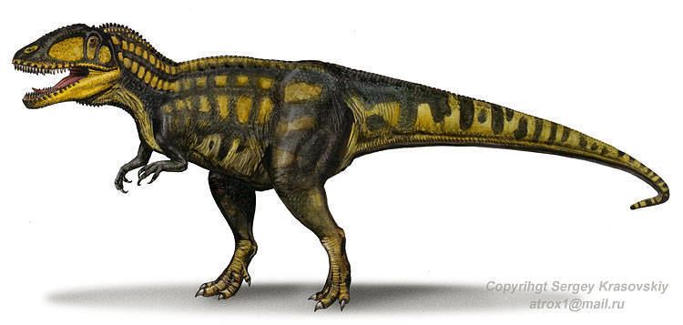 Carcharodontosaurus Carcharodontosaurus