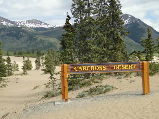 Carcross Desert Carcross Desert All You Need to Know Before You Go TripAdvisor