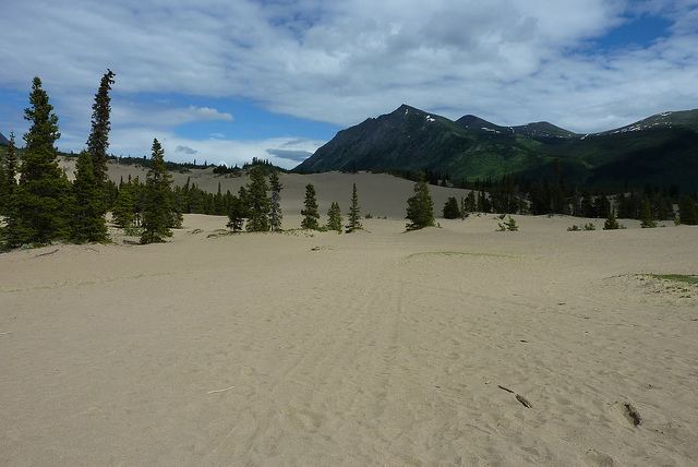 Carcross Desert The Carcross Desert The Basement Geographer