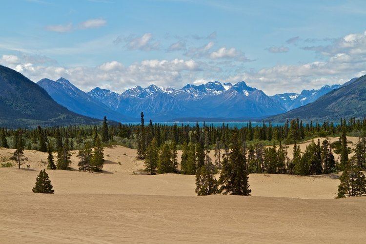 Carcross Desert Carcross Desert by juniberries on DeviantArt