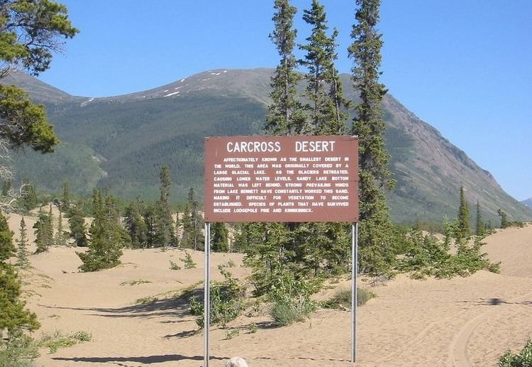 Carcross Desert 8 Deserts That Aren39t Really Deserts Amusing Planet