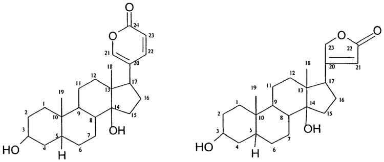 Cardenolide Patent EP2296668B1 Compositions for the treatment of hair loss