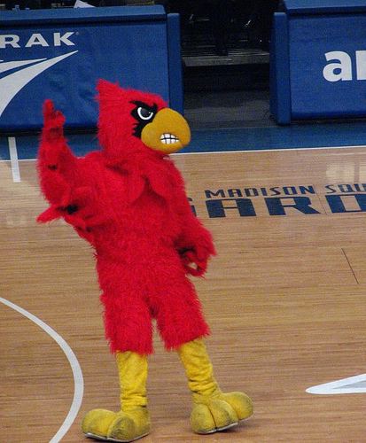 Cardinal Bird (mascot)