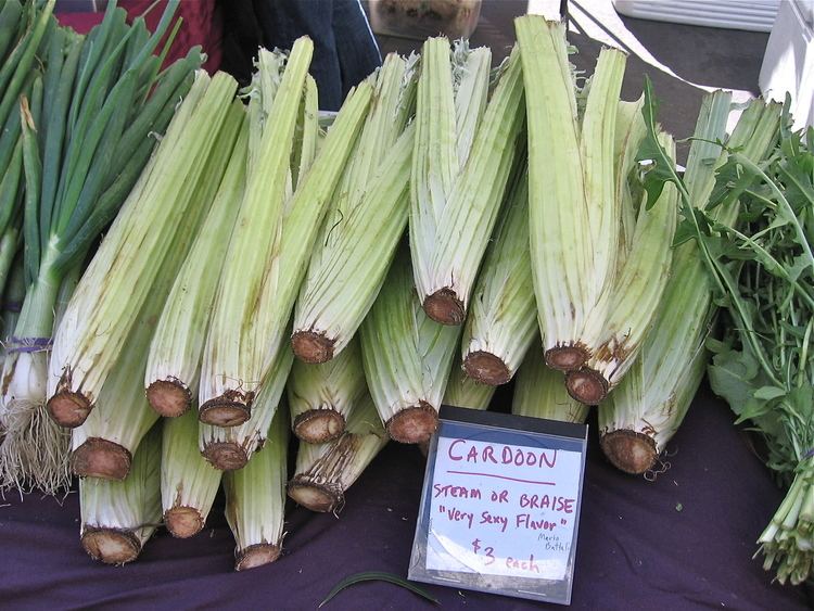 Cardoon Ecocentric Real Food Right Now and How to Cook It Cardoons