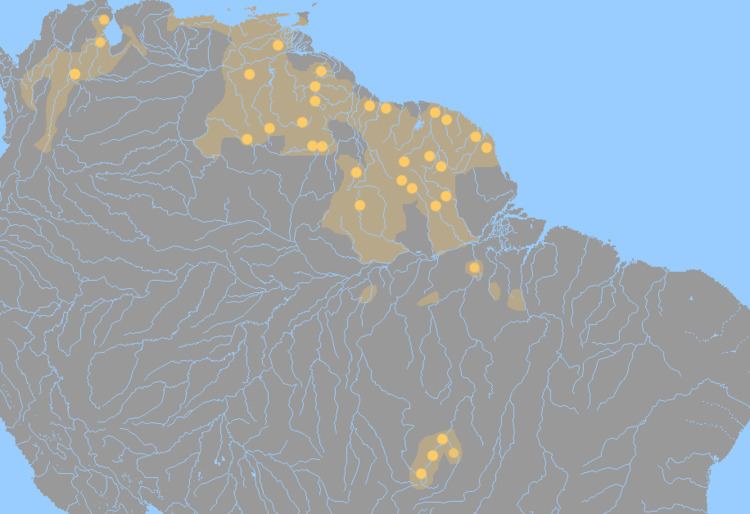 Cariban languages