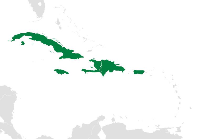 Caribbean Current
