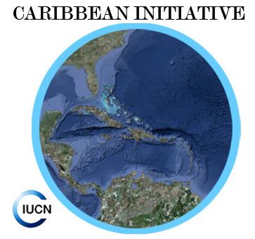 Caribbean Initiative