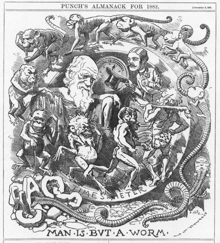 Caricatures of Charles Darwin and his evolutionary theory in 19th-century England