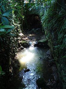Carioca River httpsuploadwikimediaorgwikipediacommonsthu