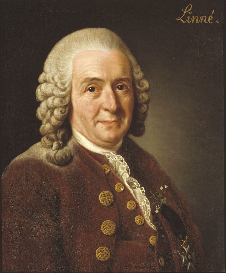 Carl Linnaeus httpsuploadwikimediaorgwikipediacommons66