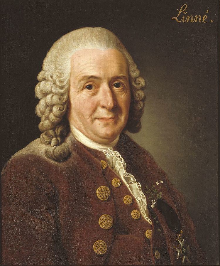 Carl Linnaeus bibliography