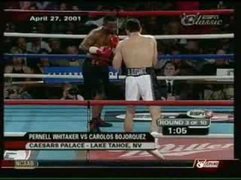 Carlos Bojorquez Pernell Whitaker vs Carlos Bojorquez YouTube