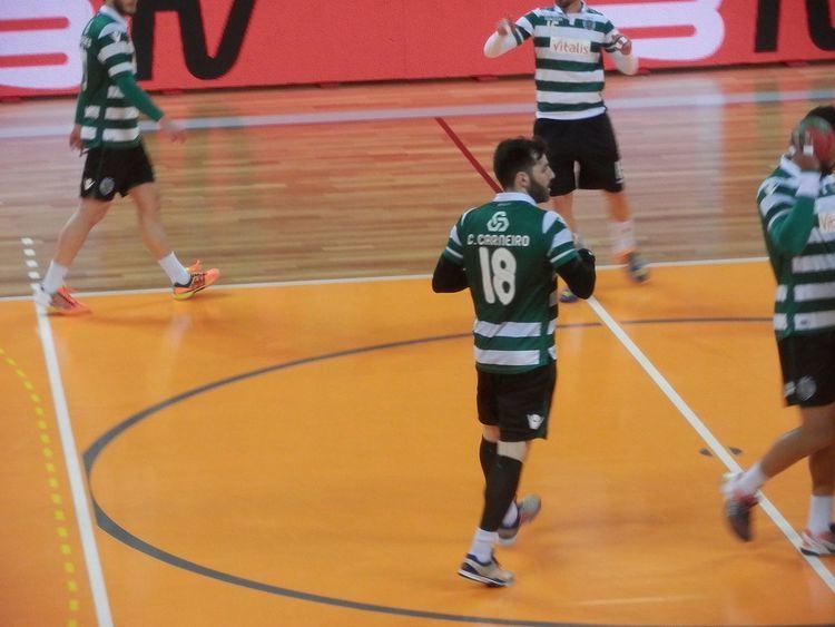 Carlos Carneiro (handballer) Carlos Carneiro handballer Wikipedia