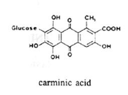 Carminic acid Nonwood forest products for rural income and sustainable forestry