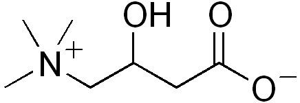 Carnitine 3-dehydrogenase