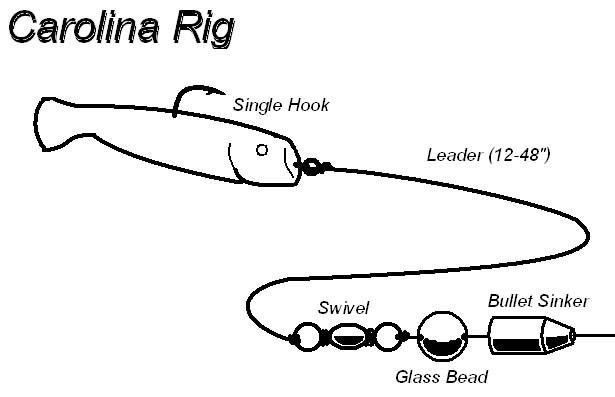 Carolina rig