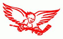 Carolina Thunderbirds httpsuploadwikimediaorgwikipediaenthumb2