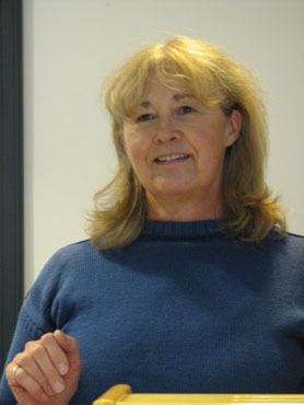 Caroline Malone Professor Caroline Malone Queens University Belfast Research