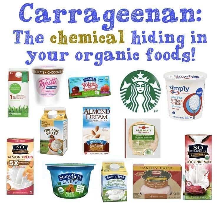 Carrageenan Carrageenan What is it and is it Safe Wellness Mama