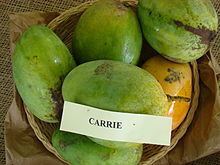 Carrie (mango) httpsuploadwikimediaorgwikipediacommonsthu