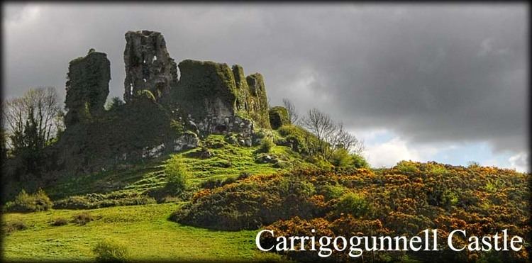 Carrigogunnell Carrigogunnell Castle