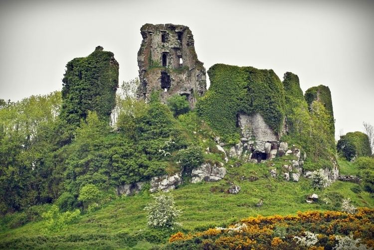 Carrigogunnell Historic Sites of Ireland Carrigogunnell Castle