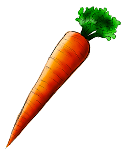 Carrot Fun Facts Great British Carrots