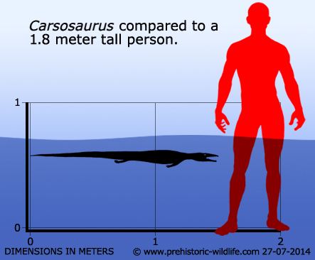 Carsosaurus wwwprehistoricwildlifecomimagesspeciesccars