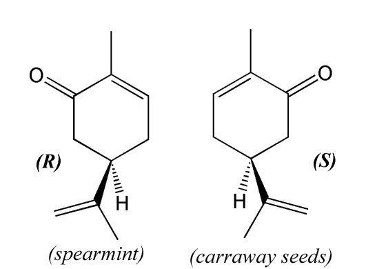 Carvone Sciencemadness Discussion Board The smell of chirality carvone