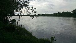 Casanare River httpsuploadwikimediaorgwikipediacommonsthu