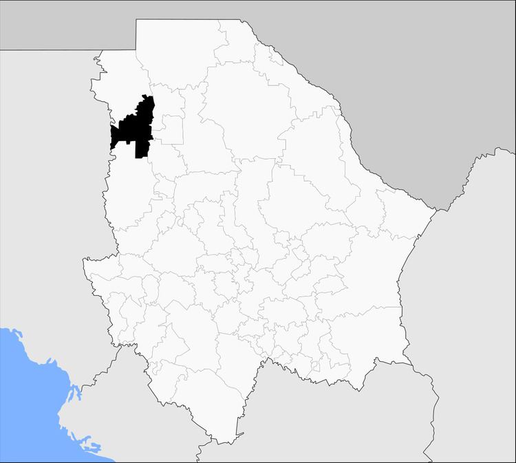 Casas Grandes Municipality