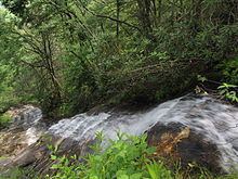 Cascade Falls (Falls Creek) httpsuploadwikimediaorgwikipediacommonsthu