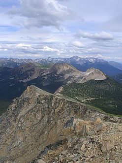 Cascade Mountains leeward forests httpsuploadwikimediaorgwikipediacommonsthu