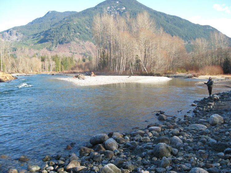 Cascade River (Washington) fishwhatcomcomwpcontentuploads201505Cascade