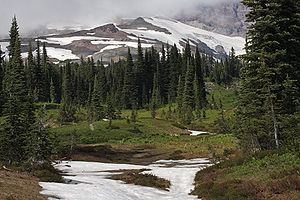 Cascades (ecoregion) httpsuploadwikimediaorgwikipediacommonsthu