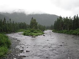 Cascapédia River httpsuploadwikimediaorgwikipediacommonsthu