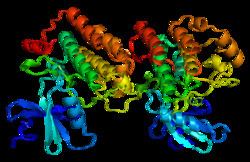 Casein kinase 1 httpsuploadwikimediaorgwikipediacommonsthu