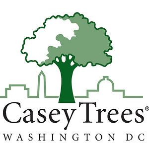Casey Trees Flickr Casey Trees