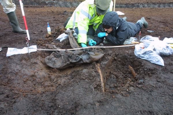 Cashel Man News Human sacrifice in Ireland Current Archaeology
