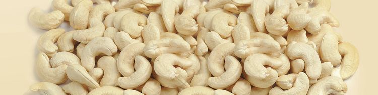 Cashew Kerala Nut Food Co Cashews Nuts Kernels Cashew nuts Raw Nuts